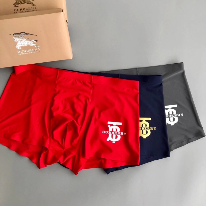 Upgraded Burberry Underwear 276519