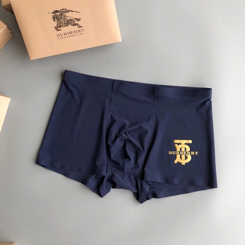 Upgraded Burberry Underwear 276519