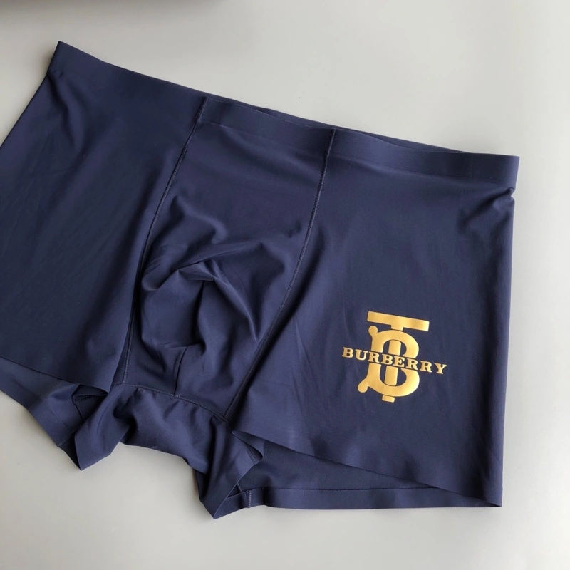 Upgraded Burberry Underwear 276519
