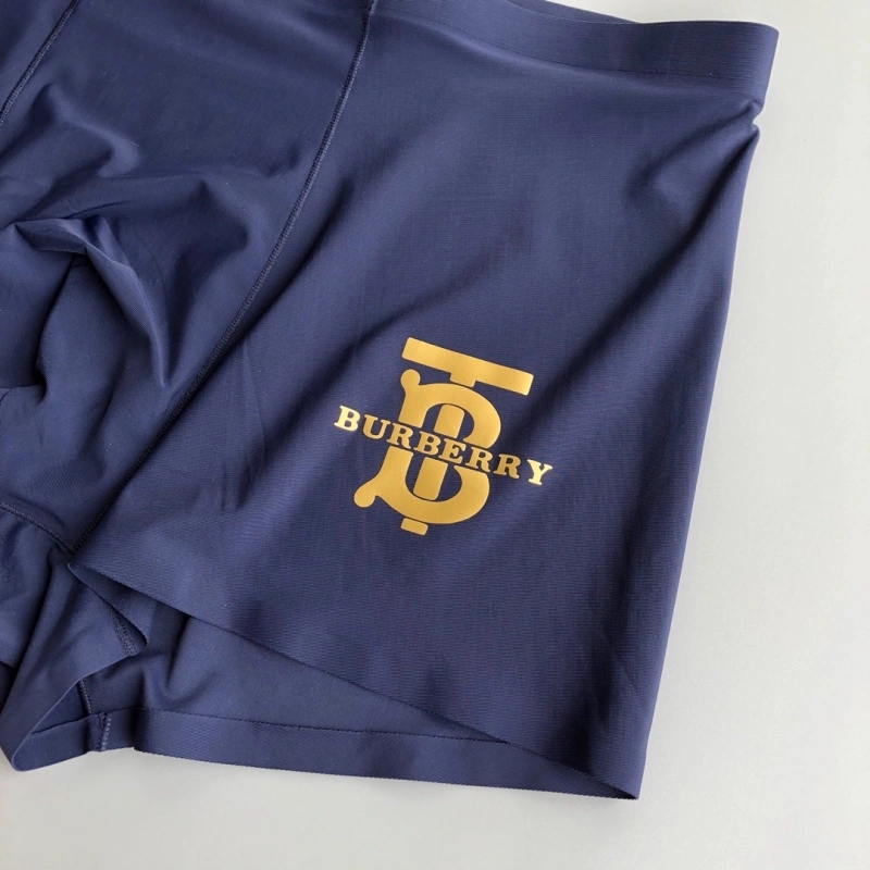 Upgraded Burberry Underwear 276519