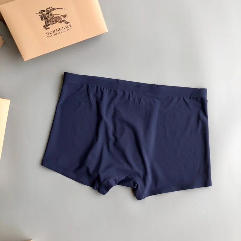 Upgraded Burberry Underwear 276519