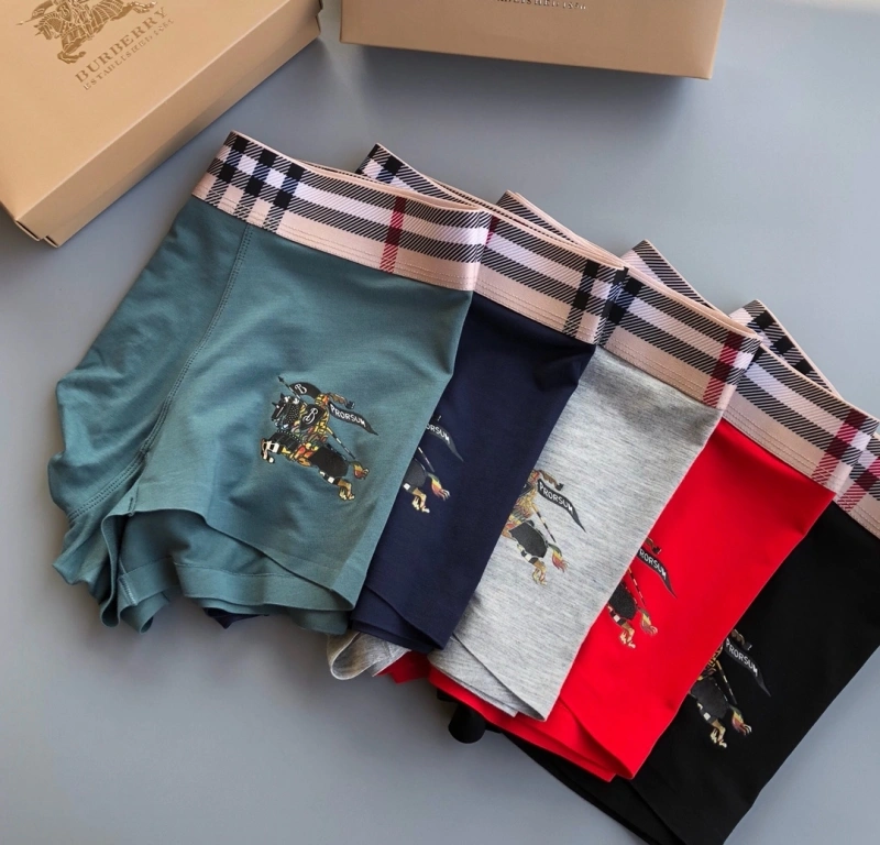 Burberry Underwear WaterResistant 276520