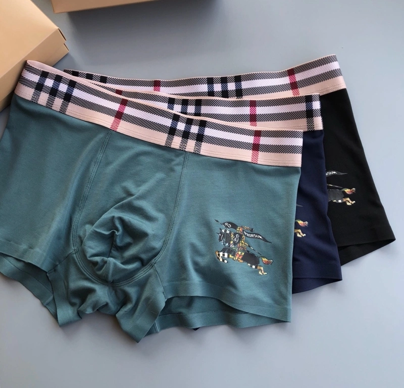 Burberry Underwear WaterResistant 276520