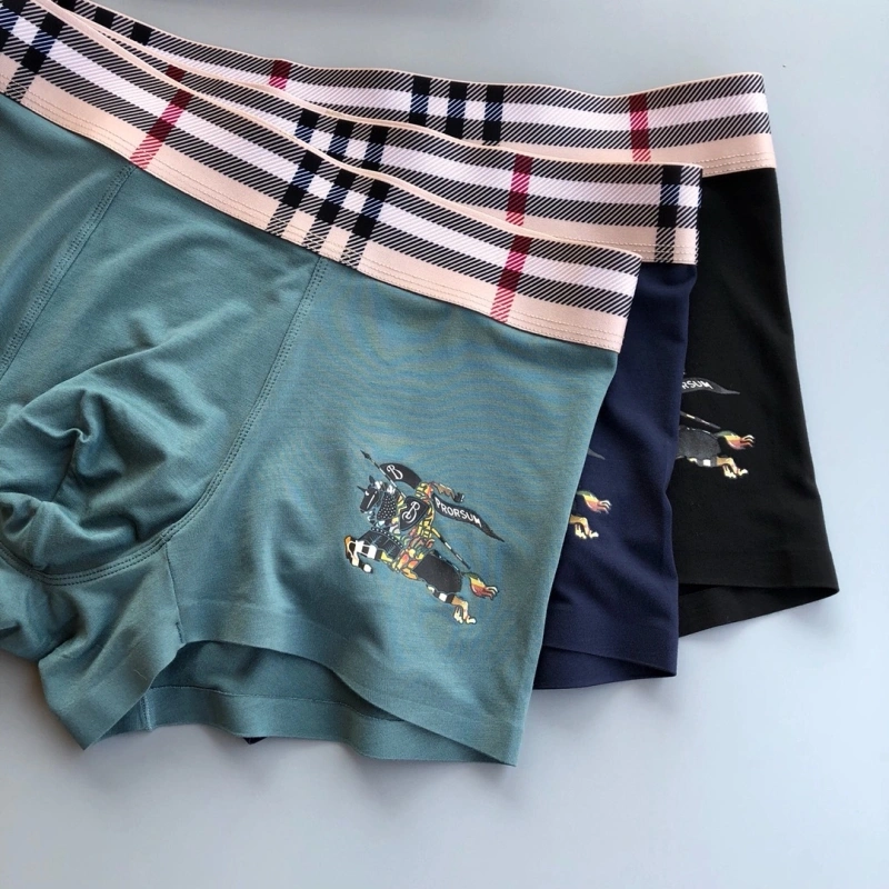 Burberry Underwear WaterResistant 276520