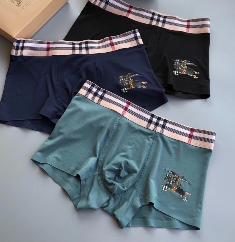 Burberry Underwear WaterResistant 276520