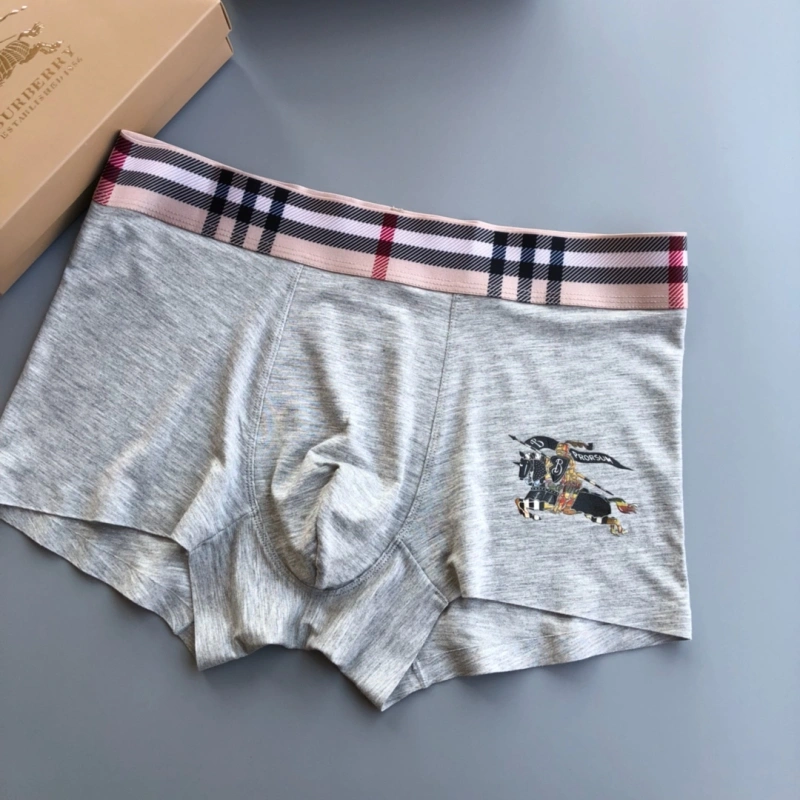 Burberry Underwear WaterResistant 276520