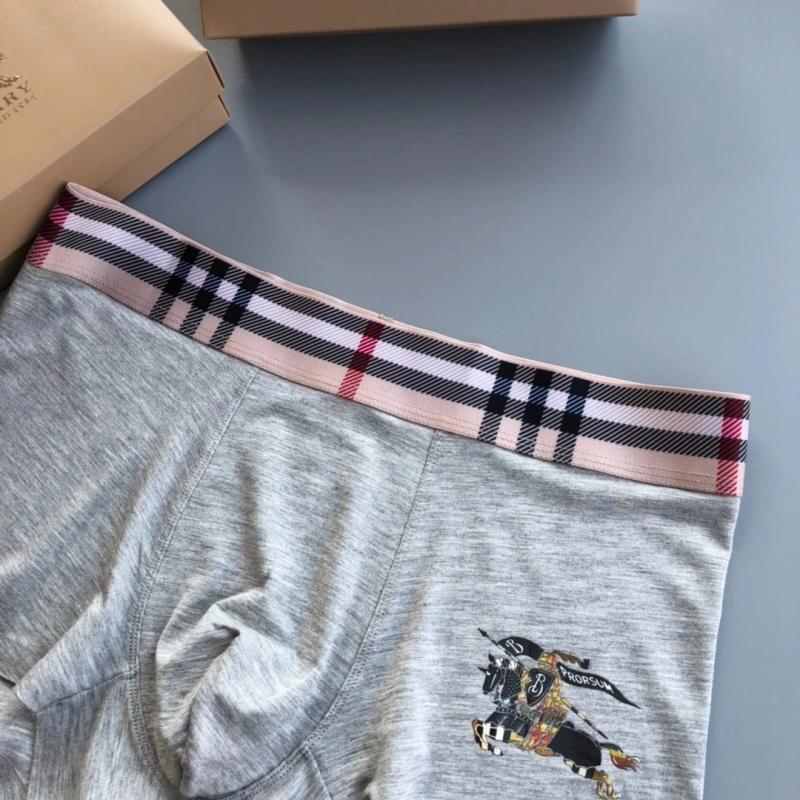 Burberry Underwear WaterResistant 276520