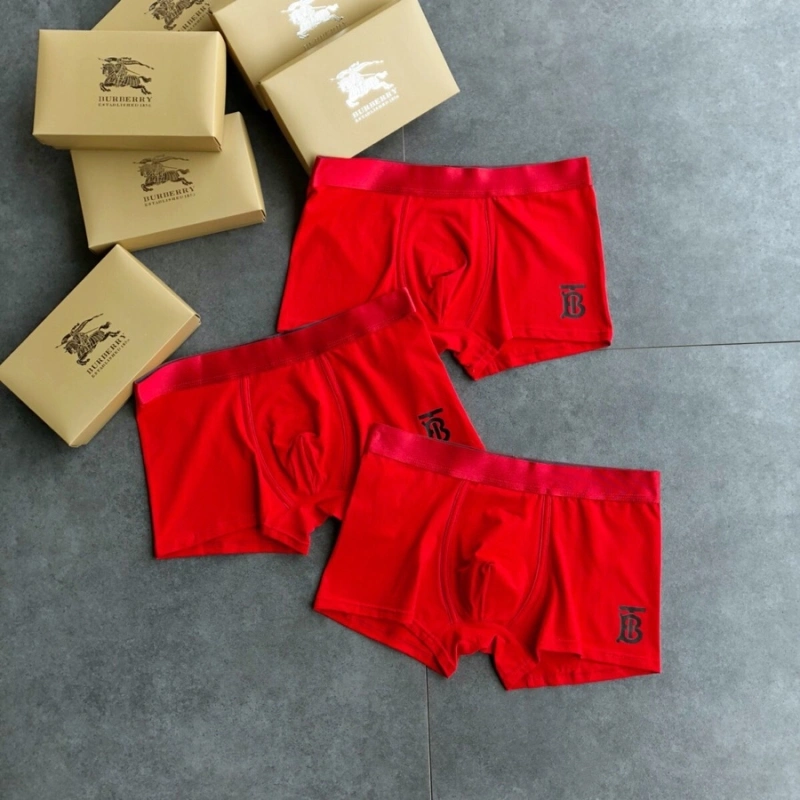 Burberry Underwear Functional 276512