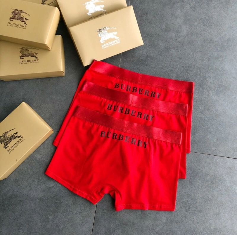 Burberry Underwear Functional 276512