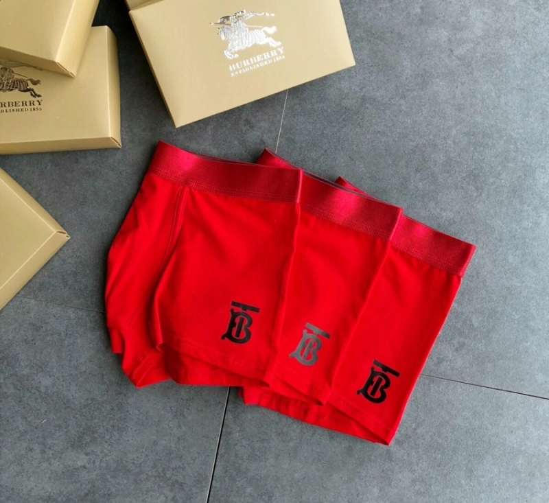 Burberry Underwear Functional 276512
