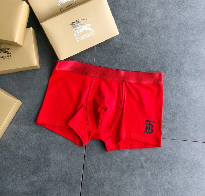 Burberry Underwear Functional 276512