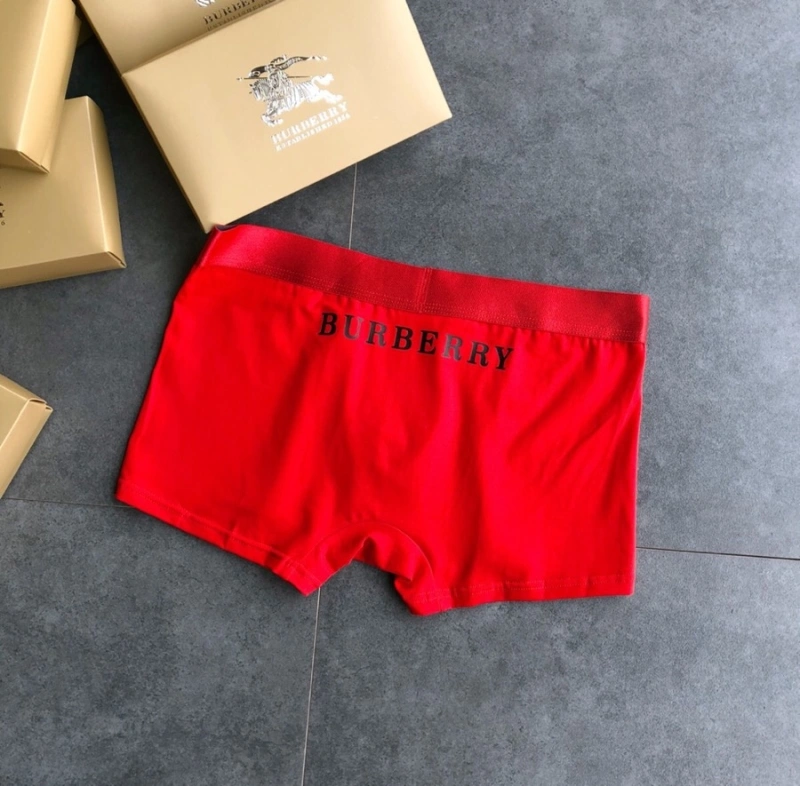 Burberry Underwear Functional 276512