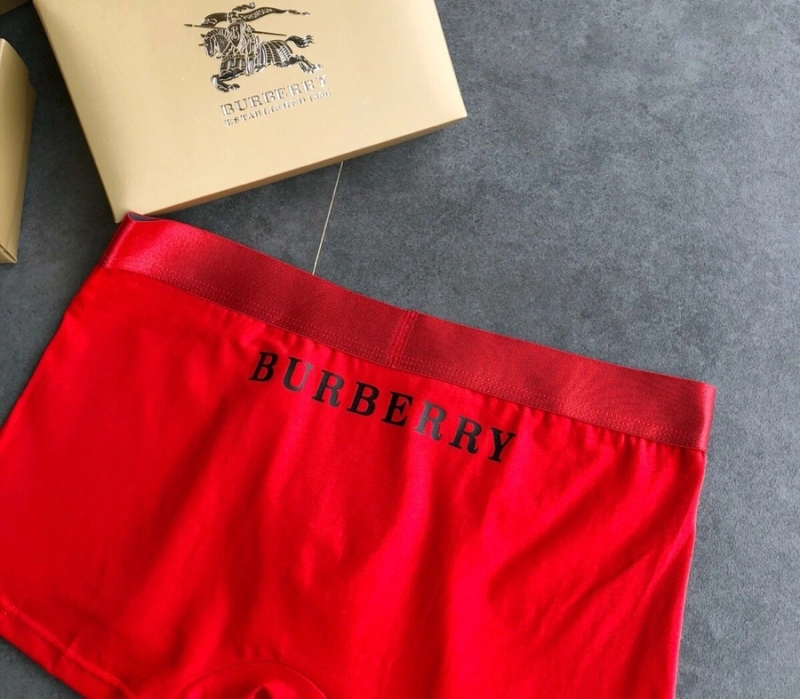Burberry Underwear Functional 276512