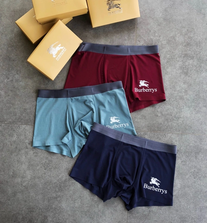SmoothTexture Burberry Underwear 276515
