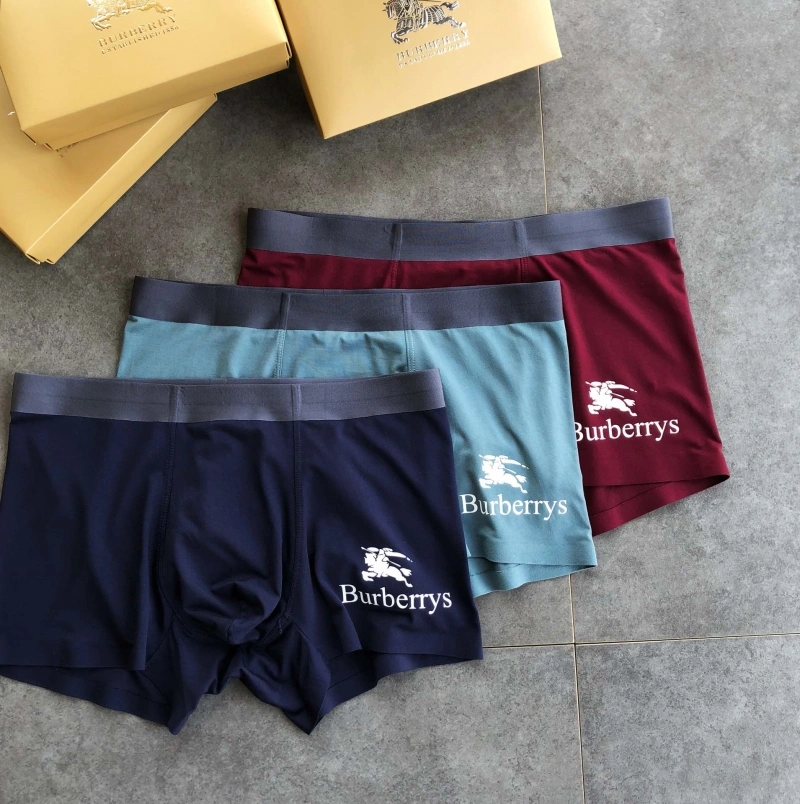 SmoothTexture Burberry Underwear 276515