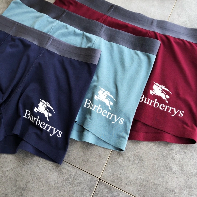 SmoothTexture Burberry Underwear 276515