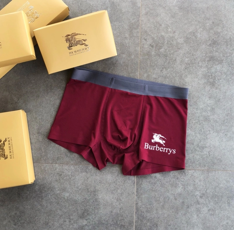SmoothTexture Burberry Underwear 276515