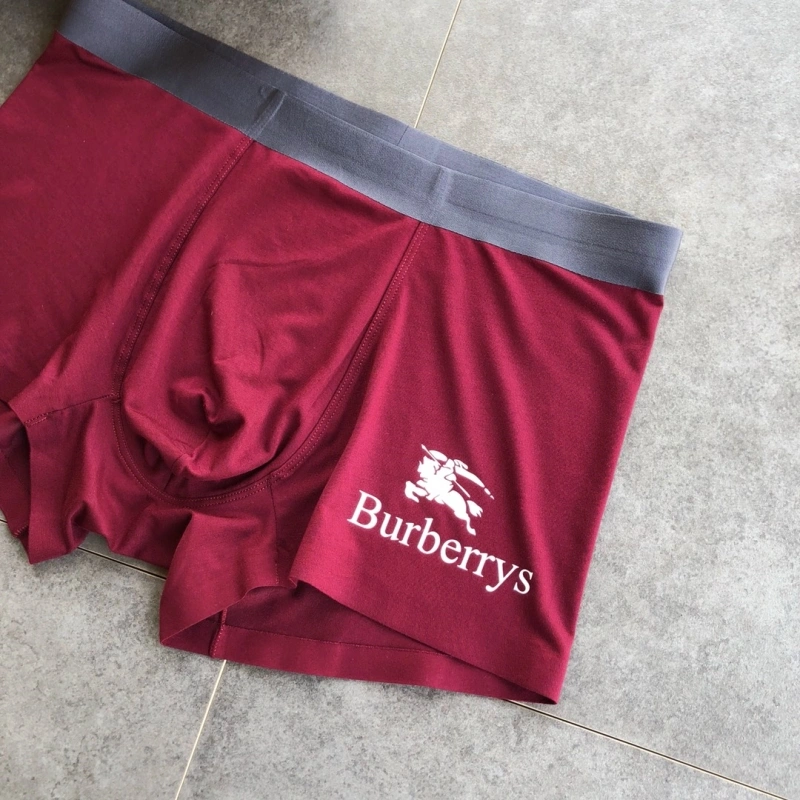 SmoothTexture Burberry Underwear 276515