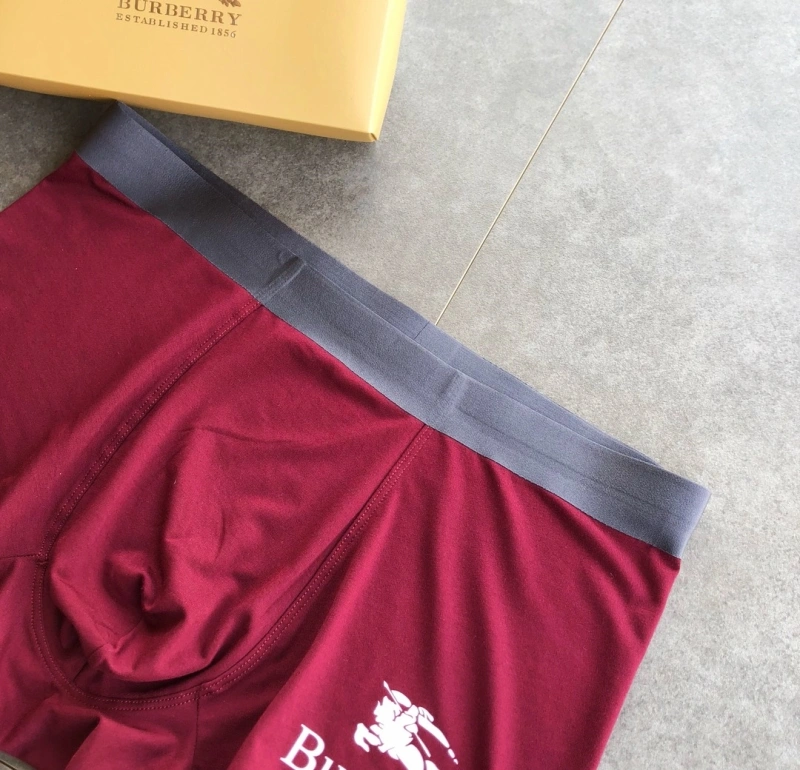 SmoothTexture Burberry Underwear 276515