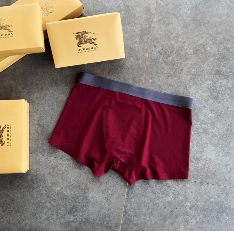 SmoothTexture Burberry Underwear 276515