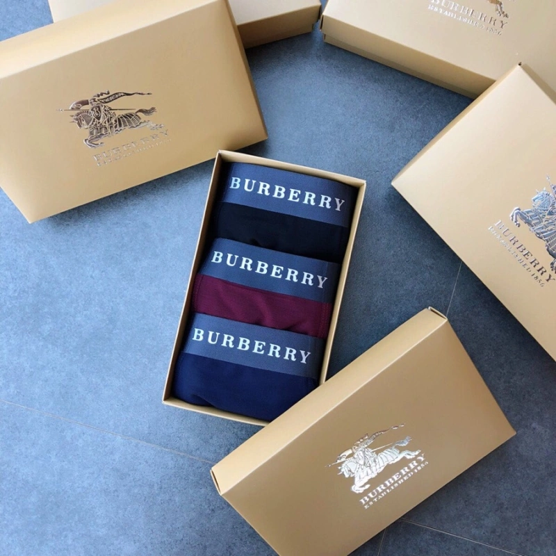 Lightweight Burberry Underwear 276521