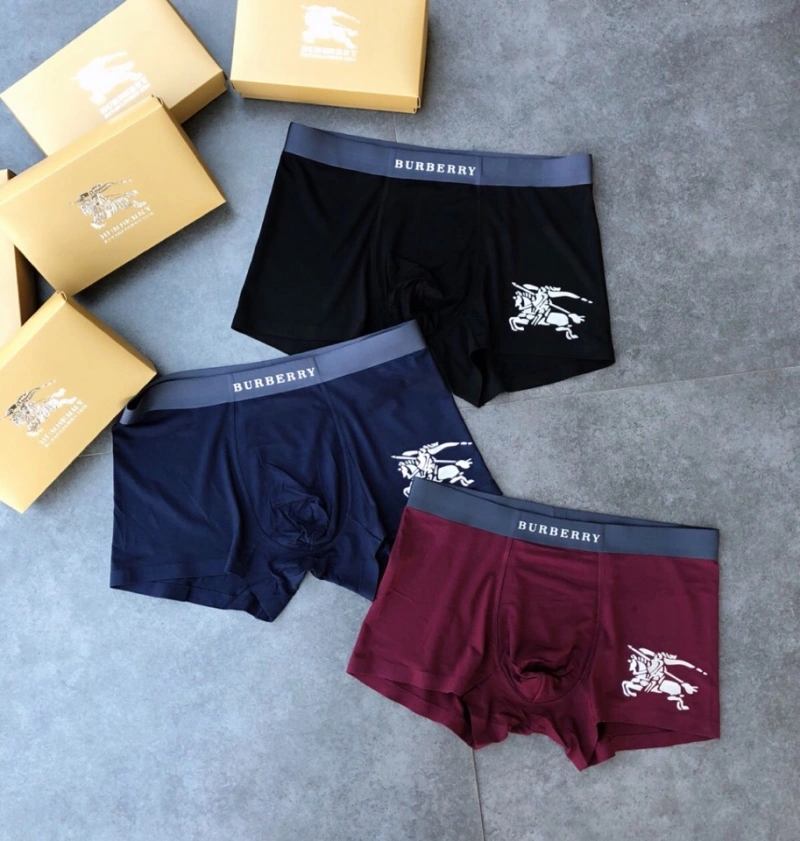 Lightweight Burberry Underwear 276521