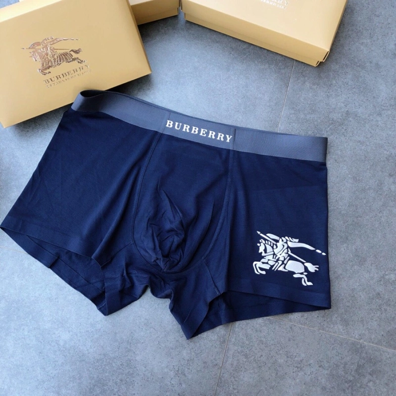 Lightweight Burberry Underwear 276521