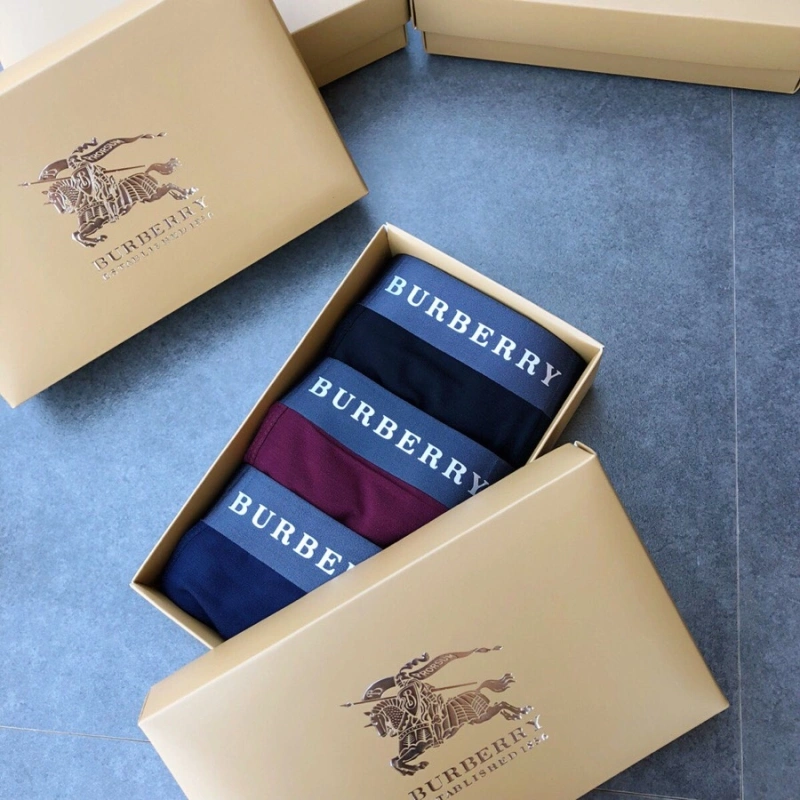 Lightweight Burberry Underwear 276521