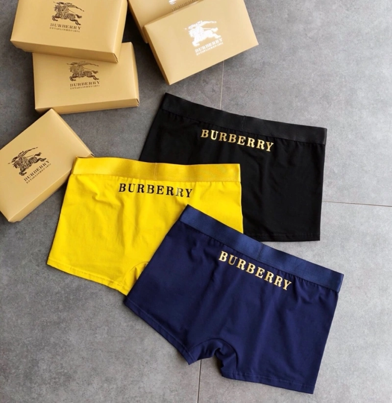 Colorful Burberry Underwear 276527