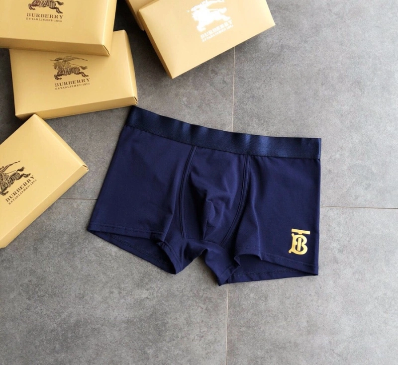 Colorful Burberry Underwear 276527
