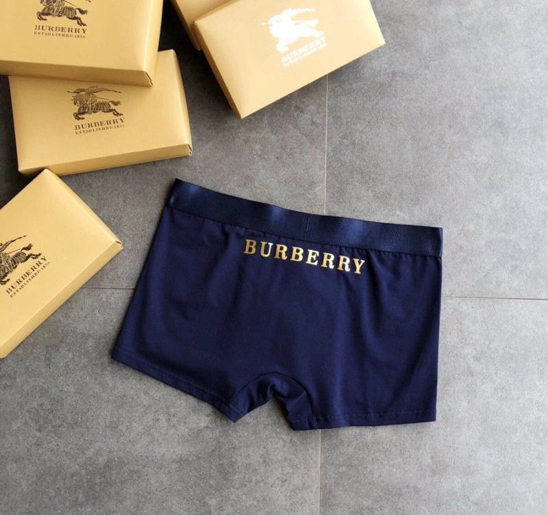 Colorful Burberry Underwear 276527