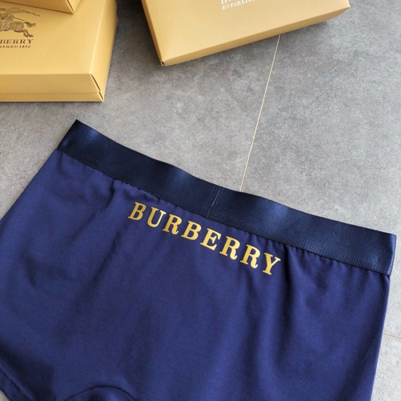 Colorful Burberry Underwear 276527