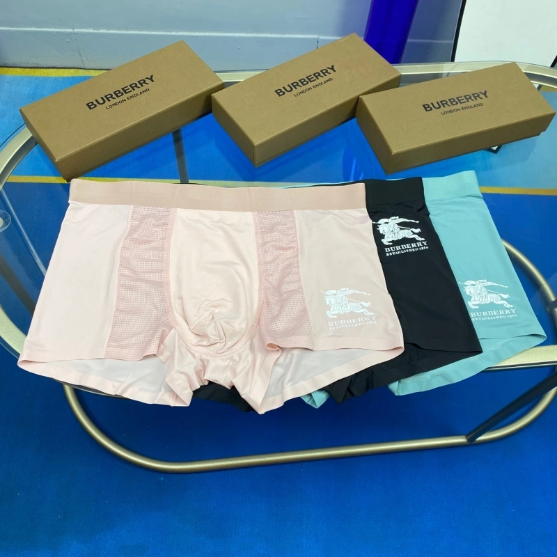 Burberry Underwear Stretchable 276500