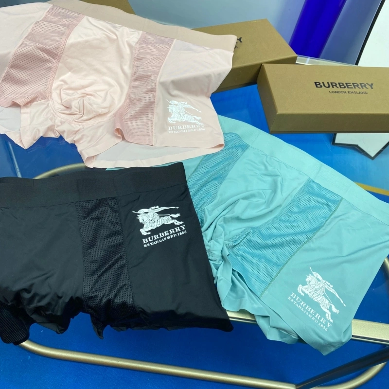 Burberry Underwear Stretchable 276500
