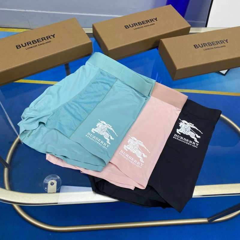 Burberry Underwear Stretchable 276500