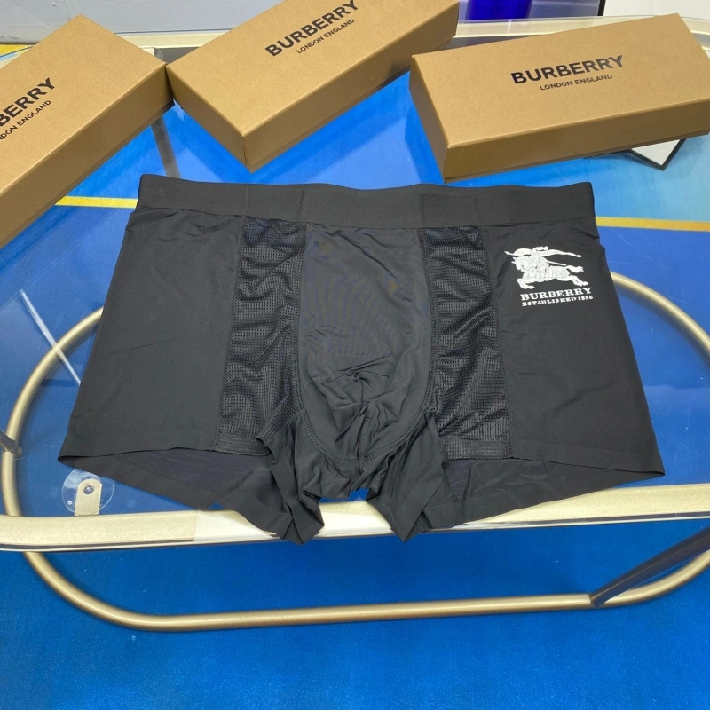 Burberry Underwear Stretchable 276500