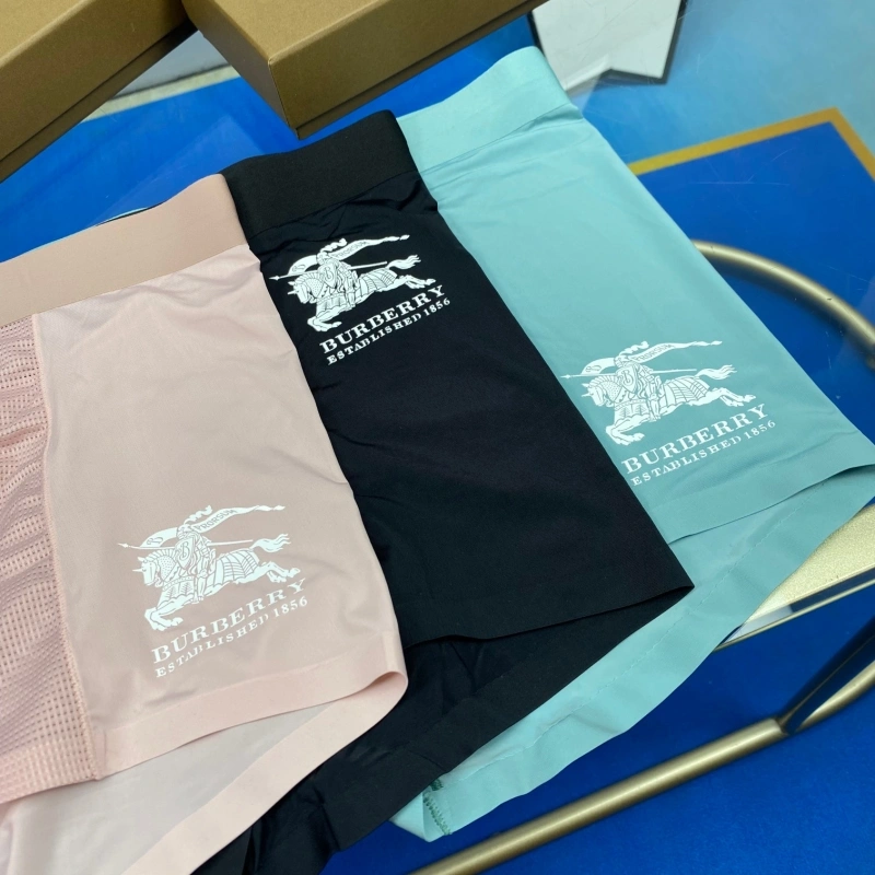 Burberry Underwear Stretchable 276500