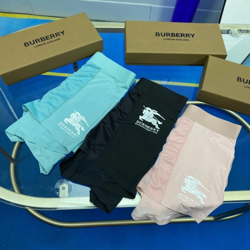 Burberry Underwear Stretchable 276500