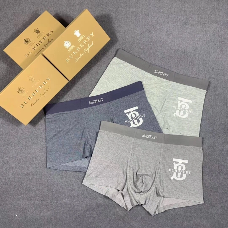 Burberry Underwear Efficient 276505