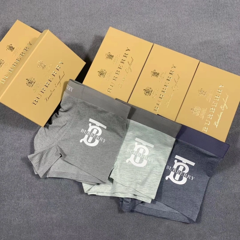 Burberry Underwear Efficient 276505