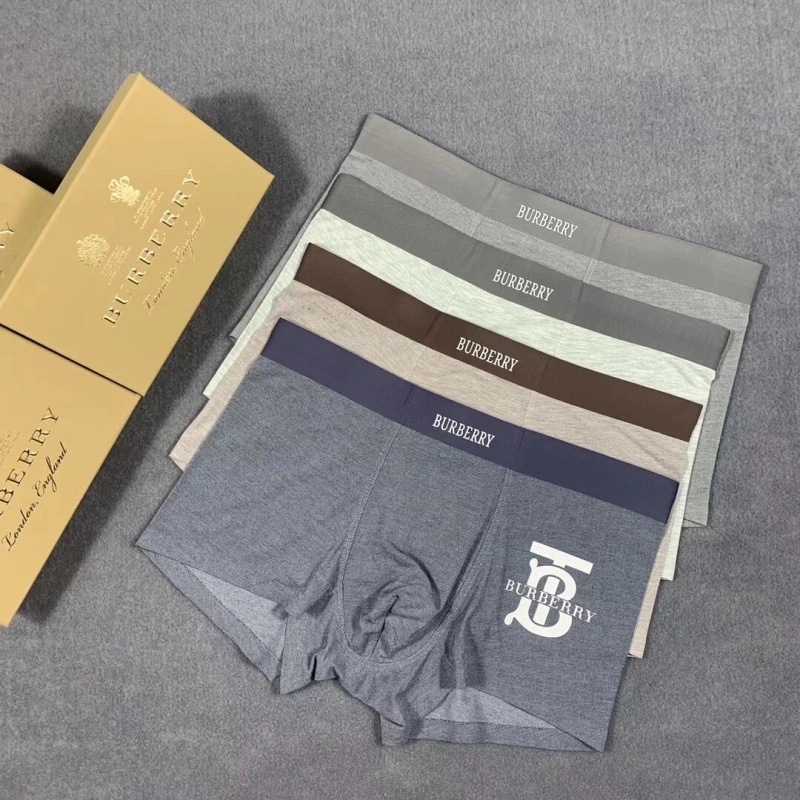 Burberry Underwear Efficient 276505