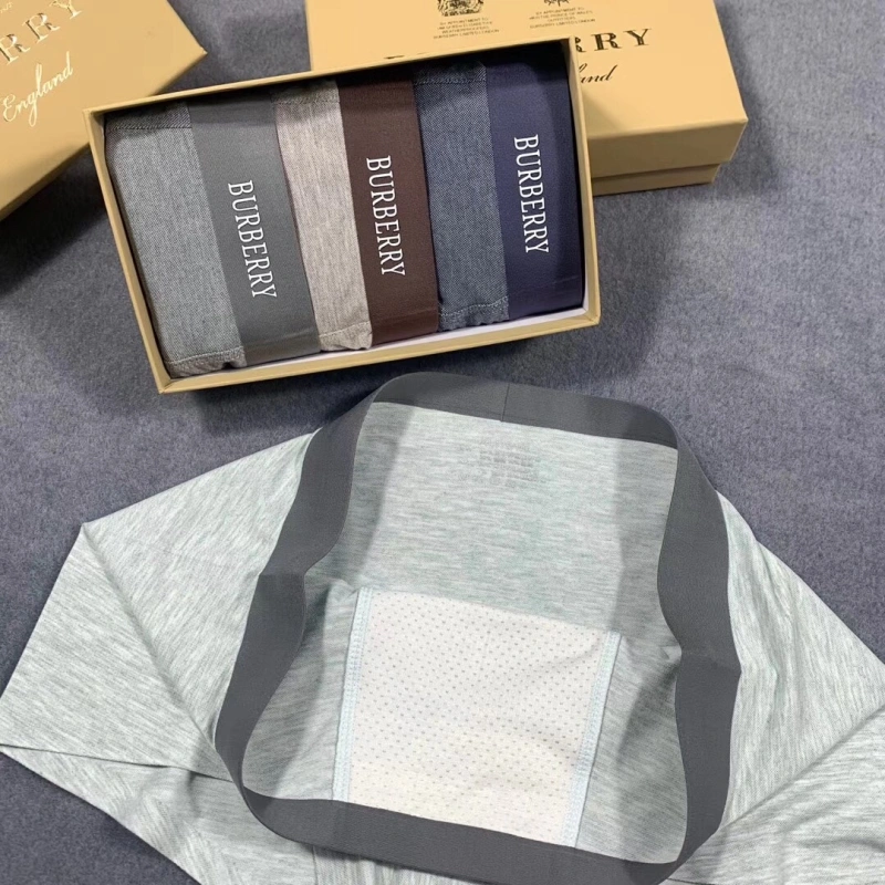 Burberry Underwear Efficient 276505