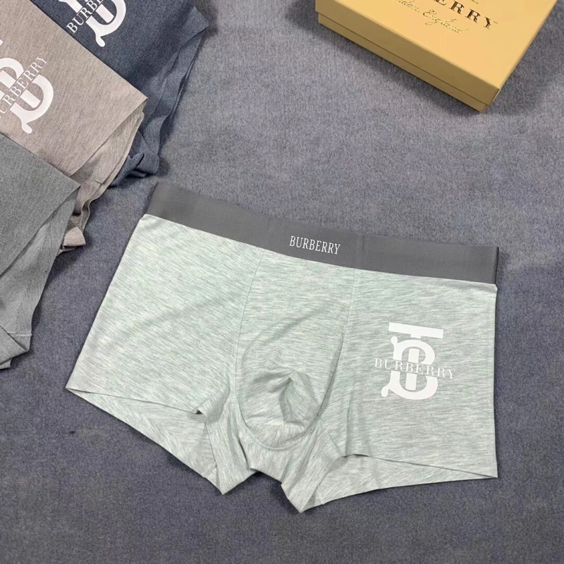 Burberry Underwear Efficient 276505