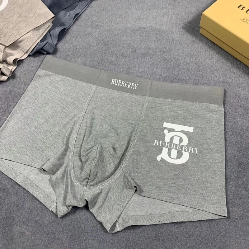 Burberry Underwear Efficient 276505