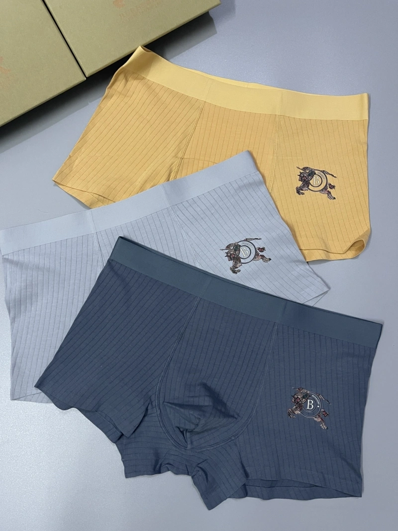 Versatile Burberry Underwear 276502