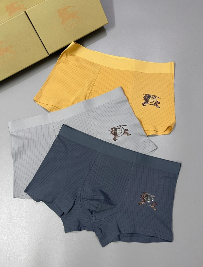 Versatile Burberry Underwear 276502