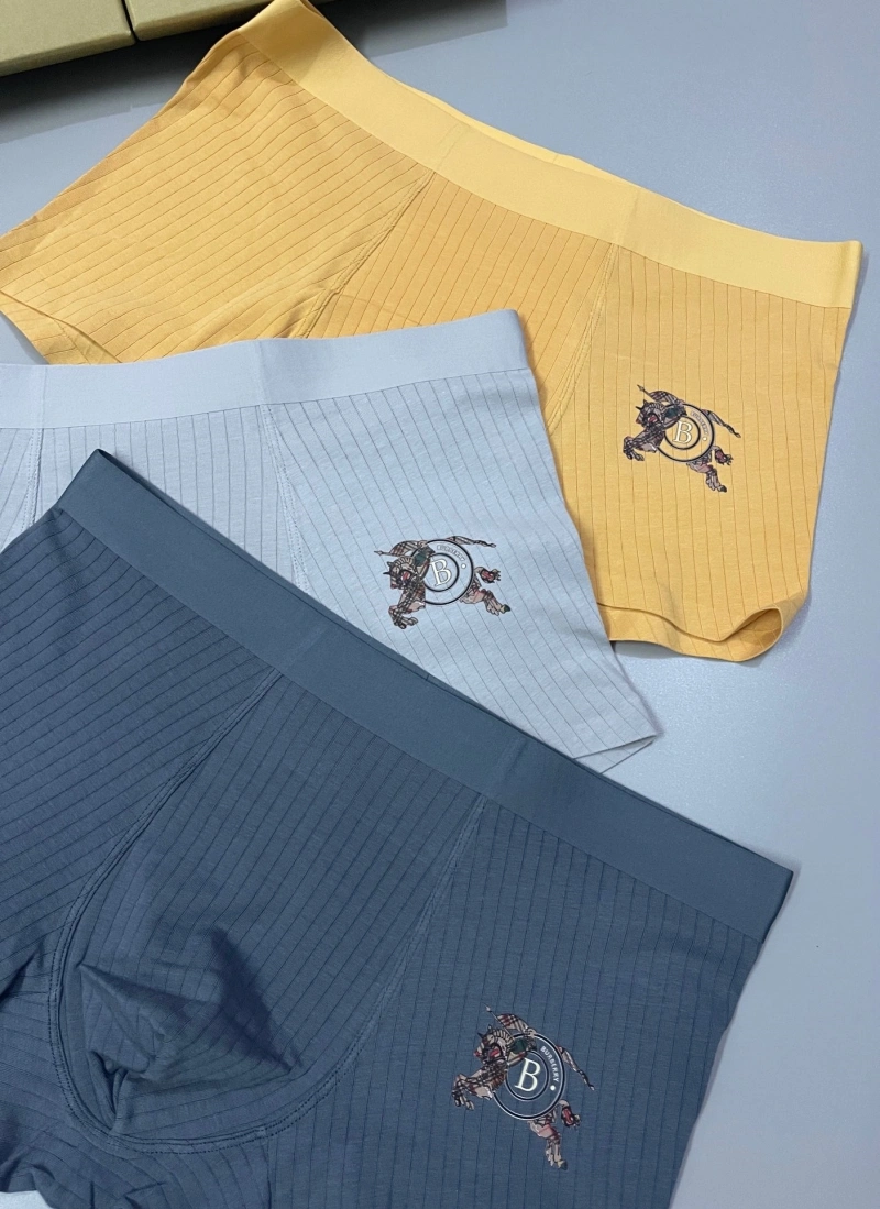 Versatile Burberry Underwear 276502