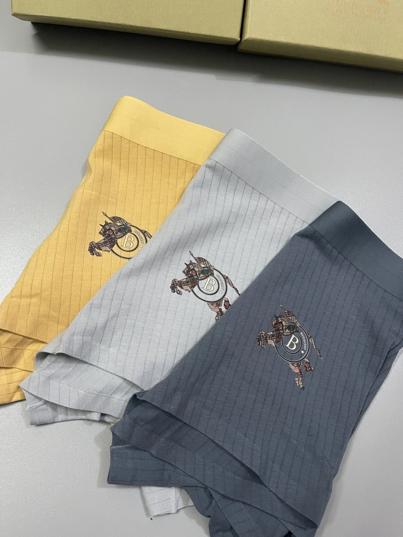 Versatile Burberry Underwear 276502