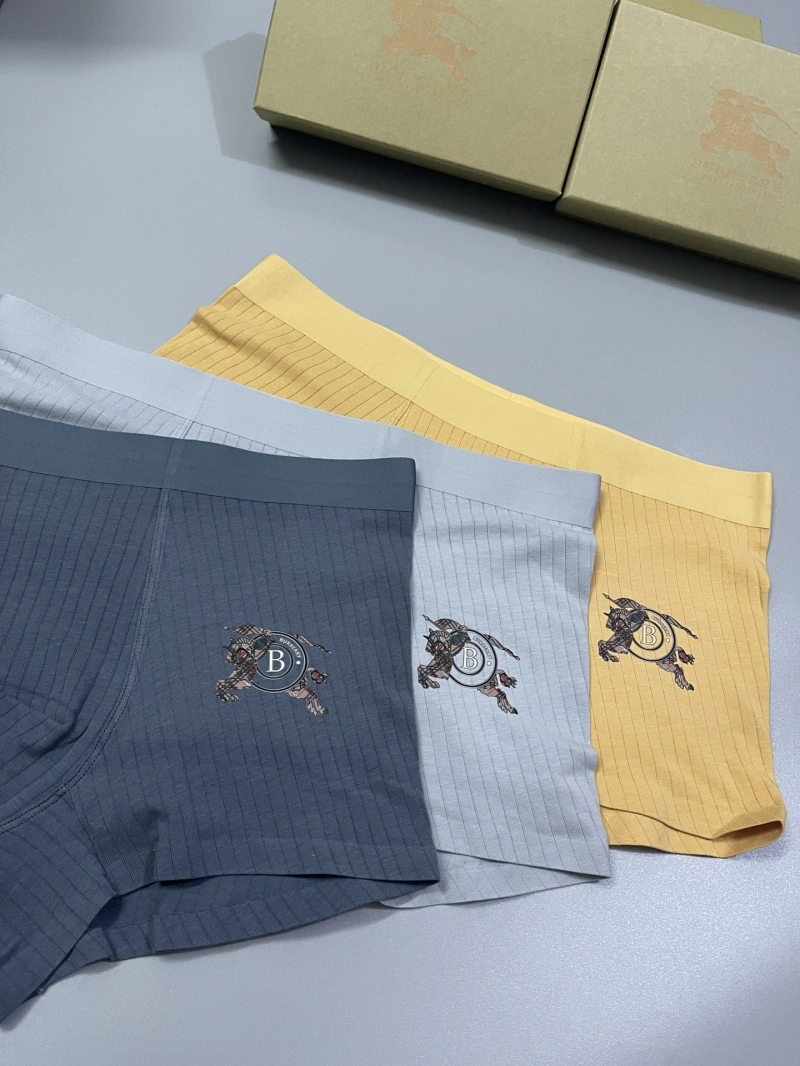 Versatile Burberry Underwear 276502