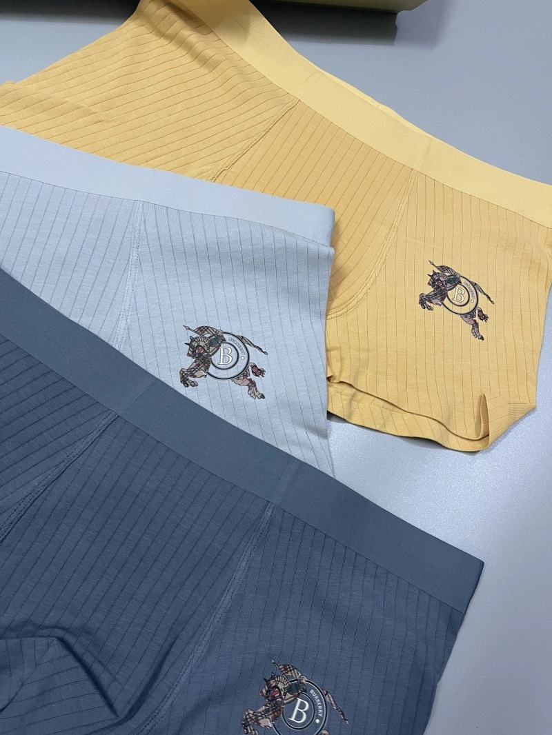 Versatile Burberry Underwear 276502
